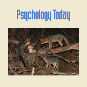 Jan. 26,2022 
The Social and Emotional Lives of Urban Gray Foxes