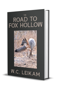 Road+to+Fox+Hollow+3D+Cover